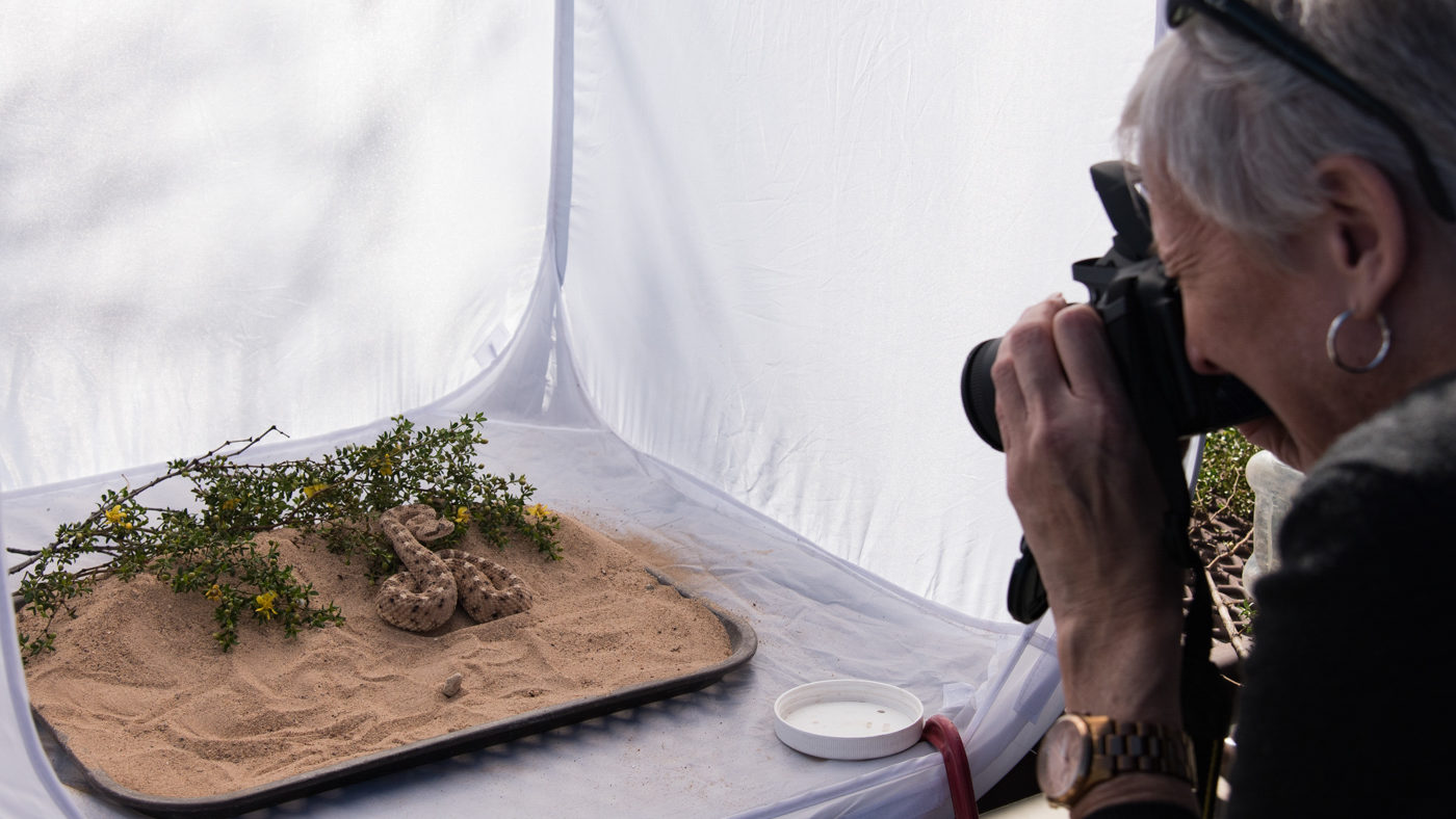 Photo credit John Frelich - Creepy Crawly Critters Workshop